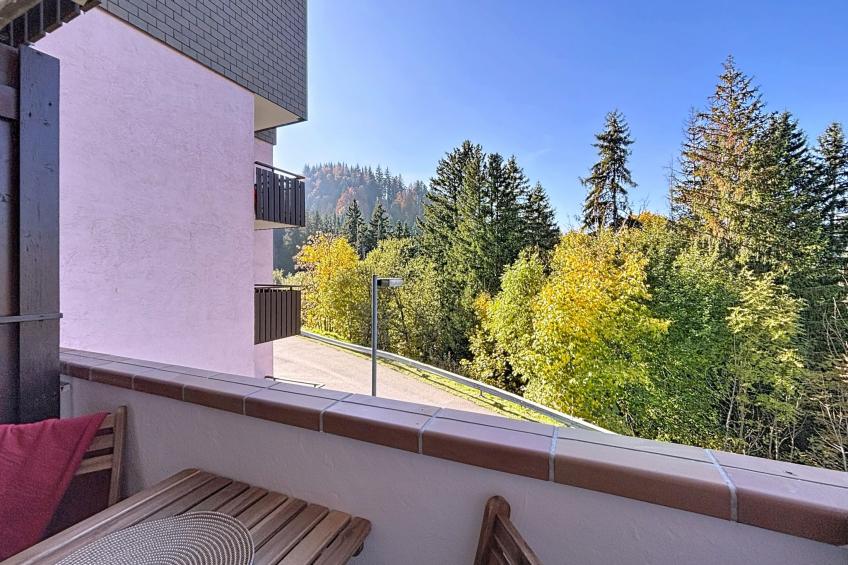 Résidence des Montagnes - foto 15