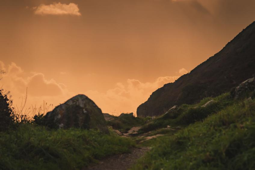 The Old Store - foto 27