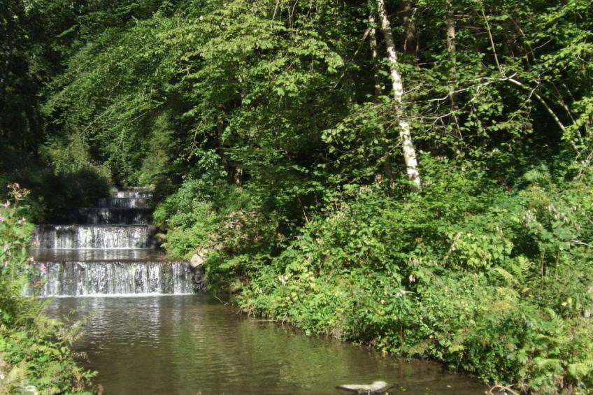 Örtl in Obernzell - foto 26