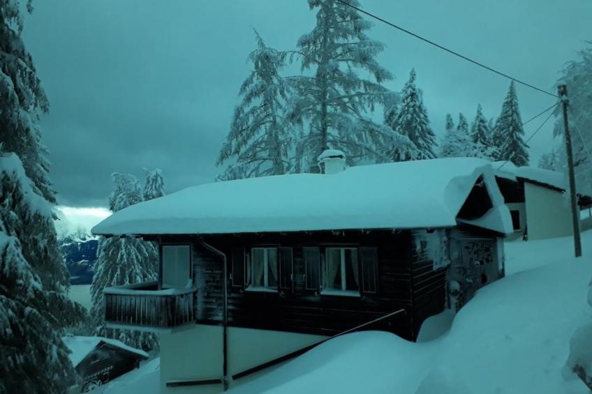 Parterre Wohnung - foto 6