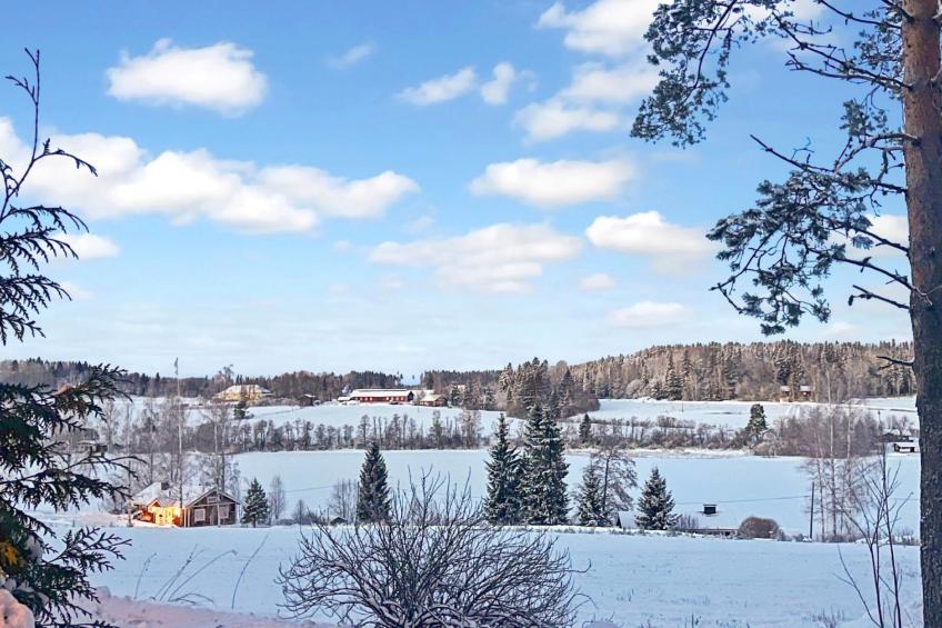 Peltosirkku, seeteri - foto 43