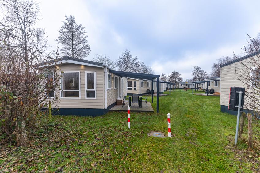 Duinhoeve Chalet Vogel - Huisdier niet toegestaan - foto 18