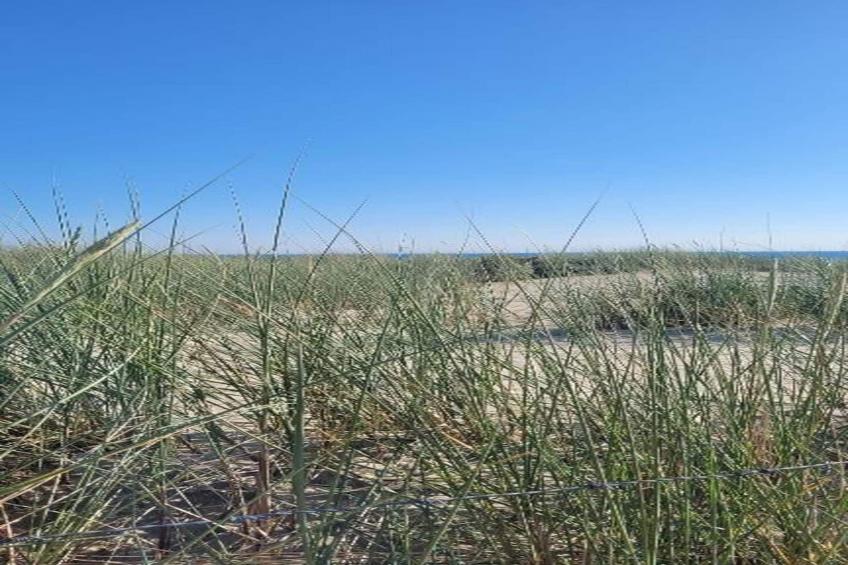 Duinweg 18 - foto 26