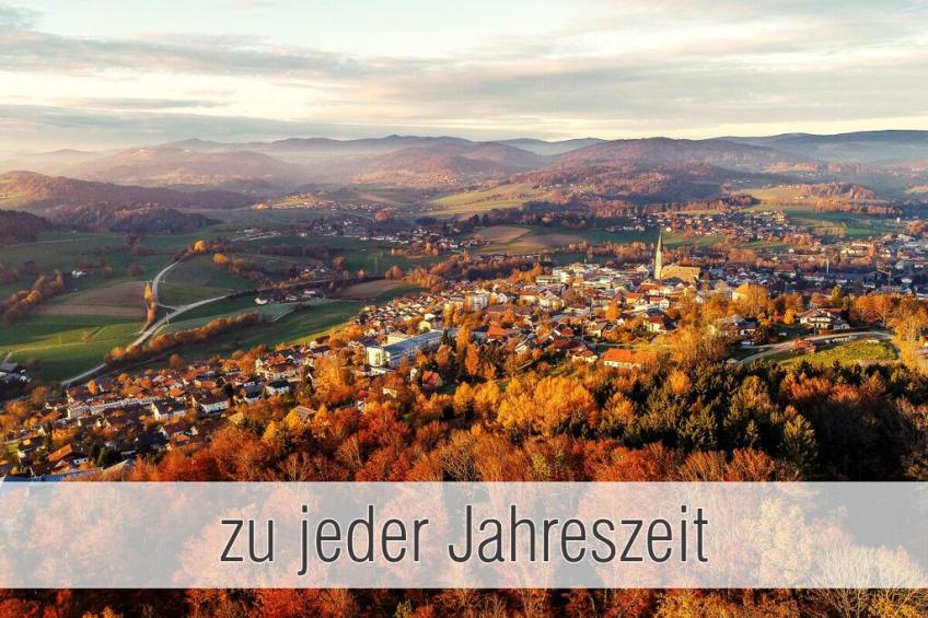 275781 - foto 27