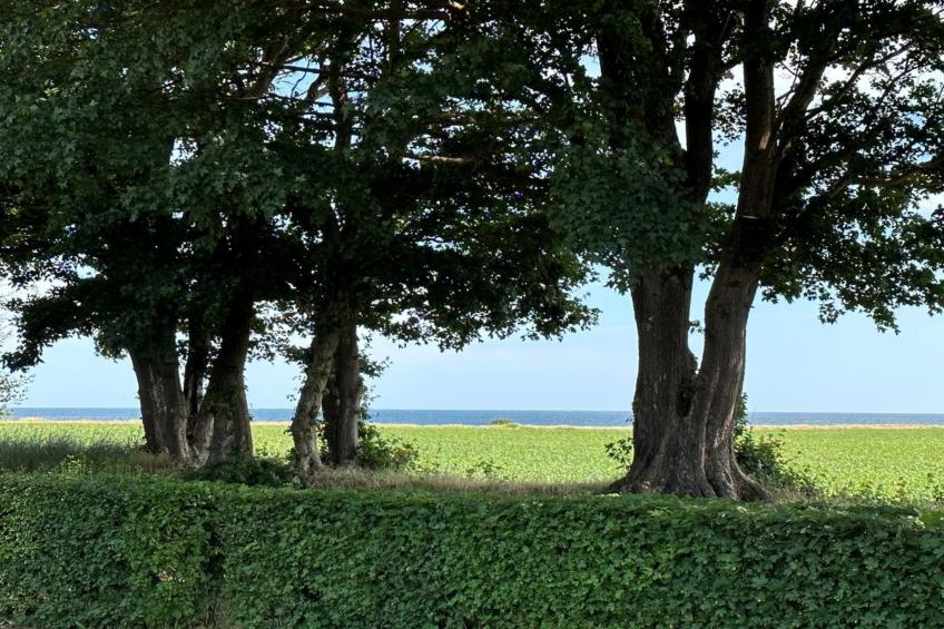 "Francis" - 300m from the sea - foto 17