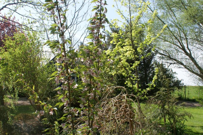 Meeresdorf Stille - Ferienhäuser in den Gärten von Magra - foto 33