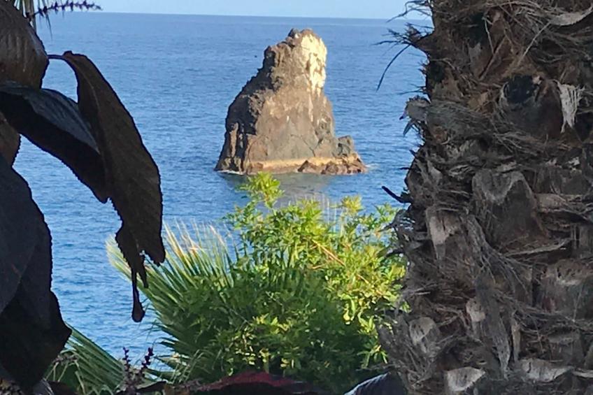 mit Blick auf das Wasser - foto 29