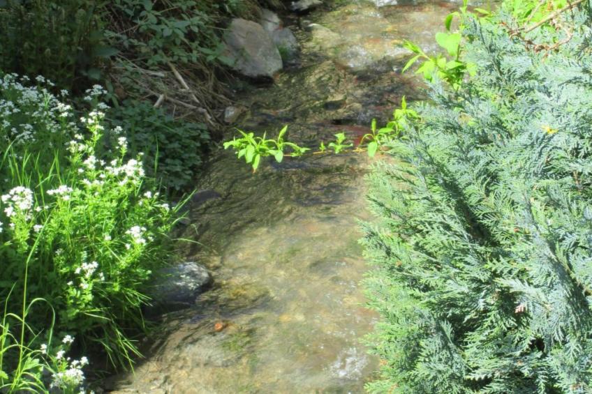 am Bach - foto 25