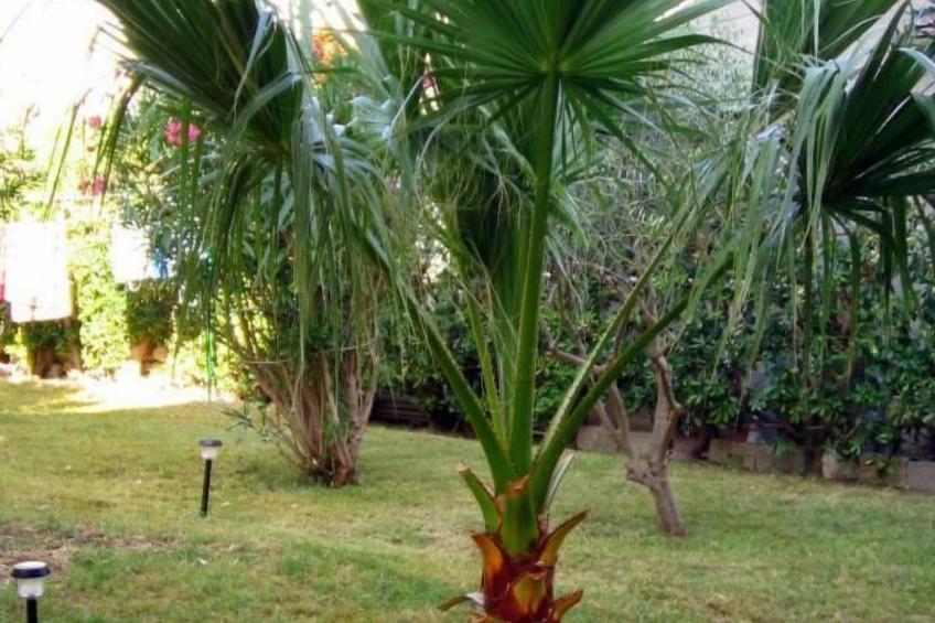 Große Ferienwohnung in Pag mit Privater Terrasse - foto 12