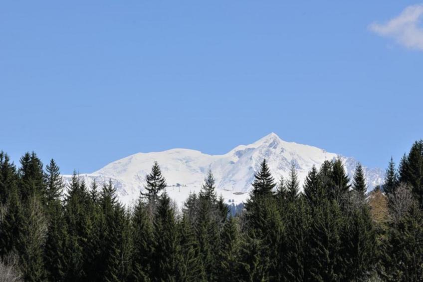 Les Portes de Megève 6 - foto 35