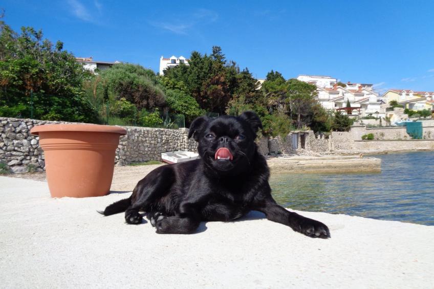 Appartement "Tomi" mit Blick auf das Wasser - foto 12