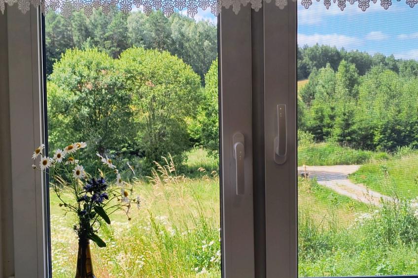 Vogelecke - abseits des Trubels und der Hektik - foto 38