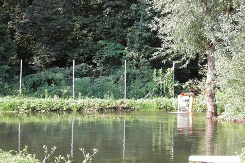 Castagnola - foto 21