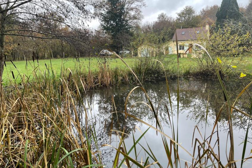 für 6 Pers. mit eigenem Teich - foto 21