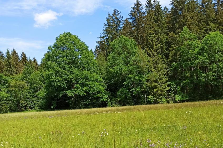 Am Sonnenblick - foto 29