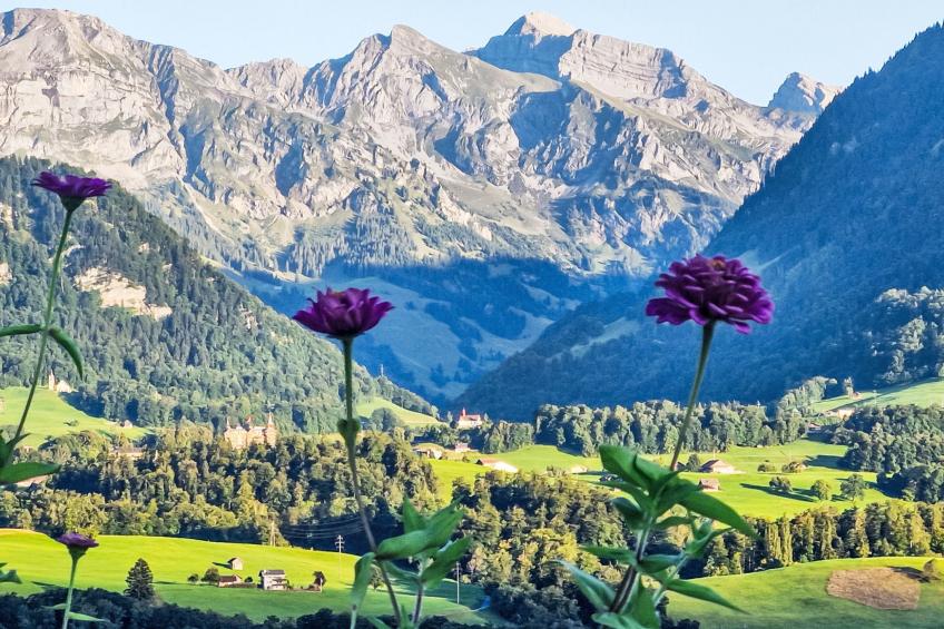 Sonnentraum - foto 6