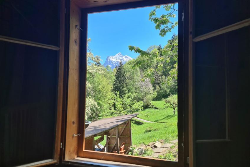 FF Bergmomente - foto 38