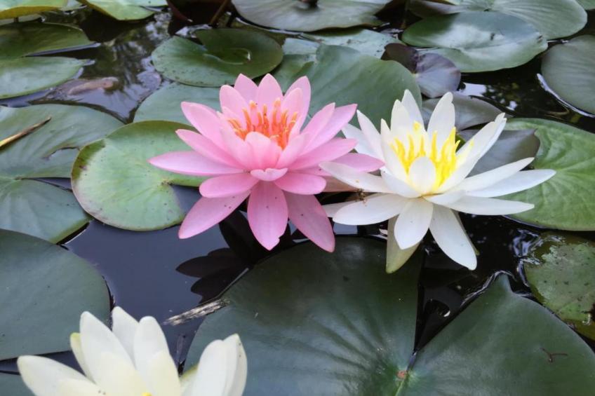 Villa Rubcic - Two Bedroom Apartment and Balcony (1) - foto 32