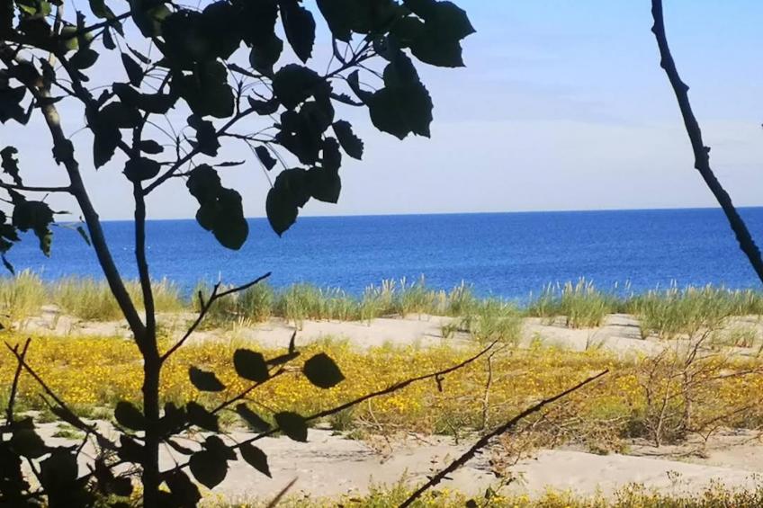 Nr4 Müritzsee 2 Personen - foto 43