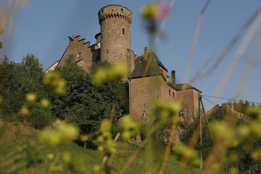 mit Garten im Naturpark Südeifel - foto 19