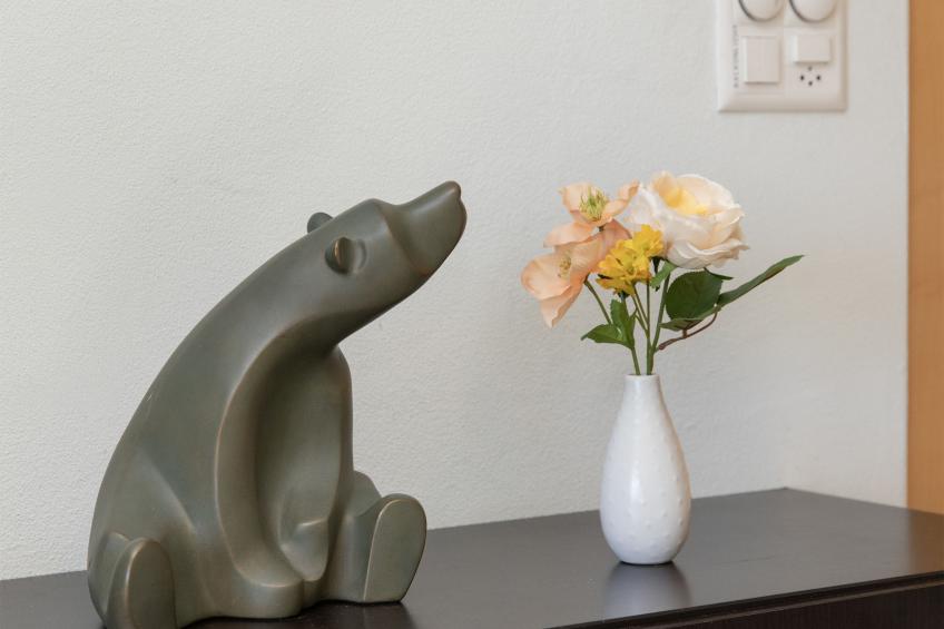 Bella Vista - foto 8