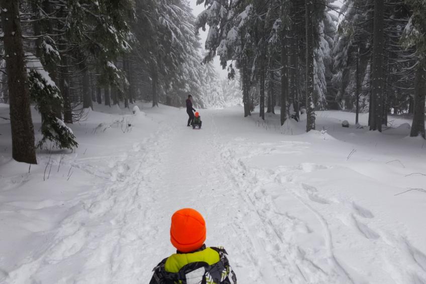 Wohnung in Oberhof - foto 30