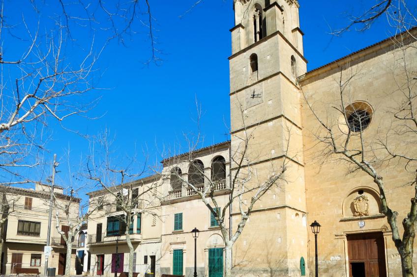 Mulet Llubi - foto 50