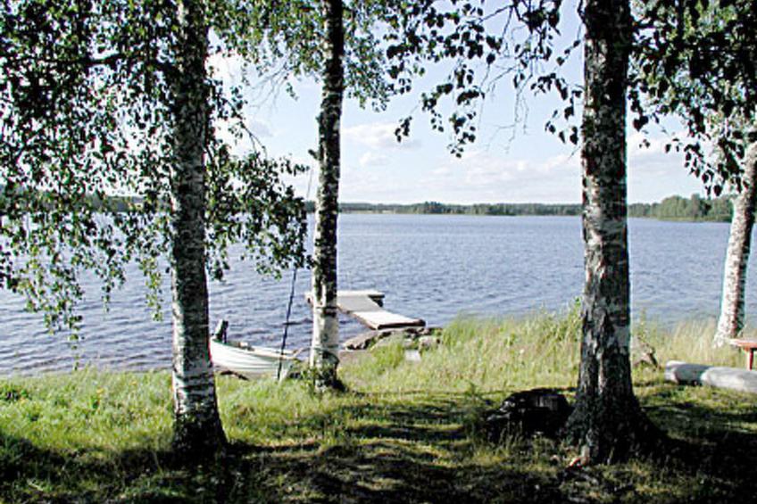 Koivuniemi - foto 31