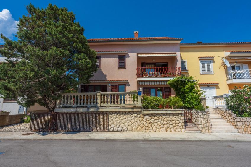 Agava veliki / HR-11139-02