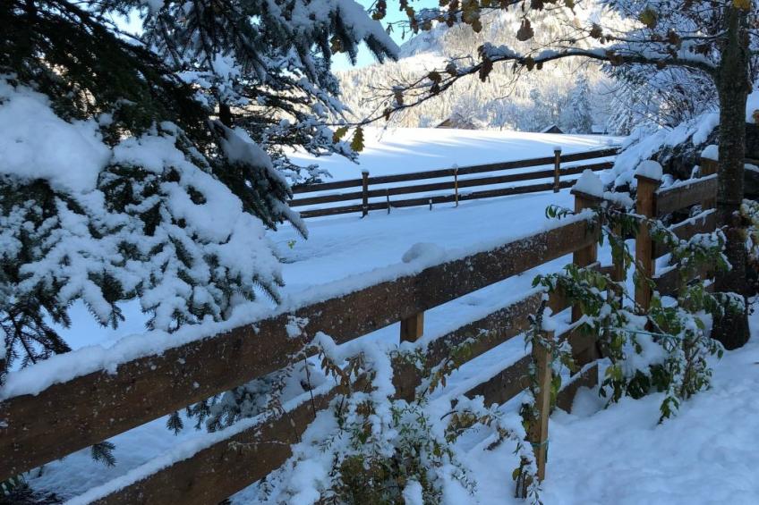 Charmante Ferienwohnung in Bad Aussee mit Grill und Garten und Bergblick - foto 11
