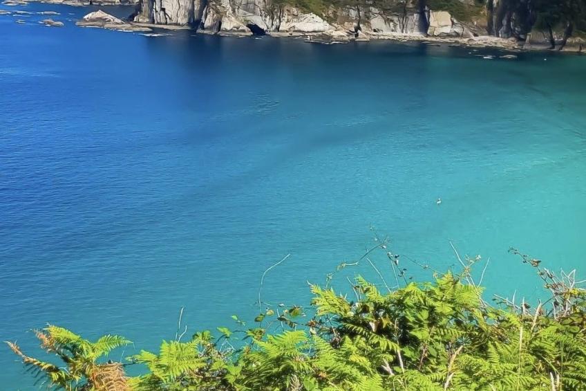 Ländliches Anwesen "Mar y Montaña" (Meer und Berge) - foto 35