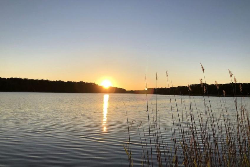 Reetdach Ferienhaus am Lübbesee Sauna Bootsteg neu - foto 2