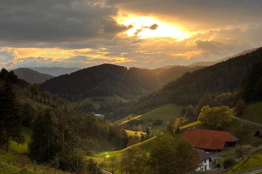 FeWo mit Whirlpool und Infrarotsauna - foto 30