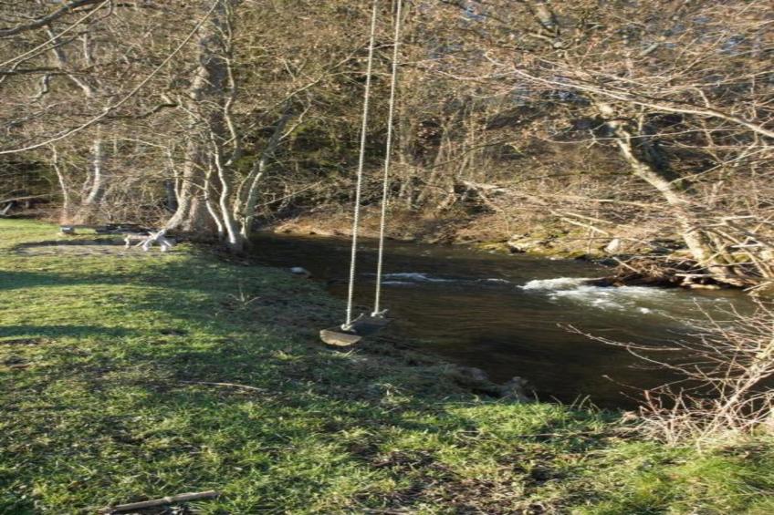 La Bressine - foto 41