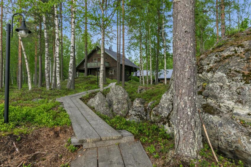 Koivuniemen rouva - foto 7