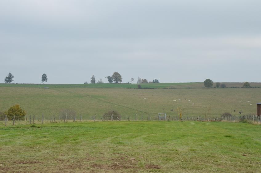 A la Clairette - foto 40