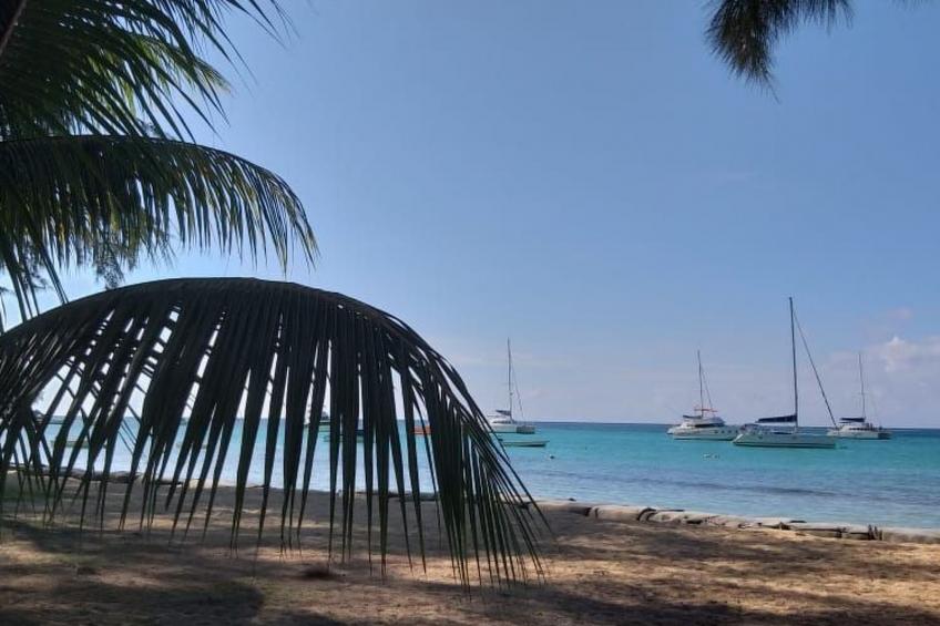 in Roches Noires mit Großem Garten - foto 35