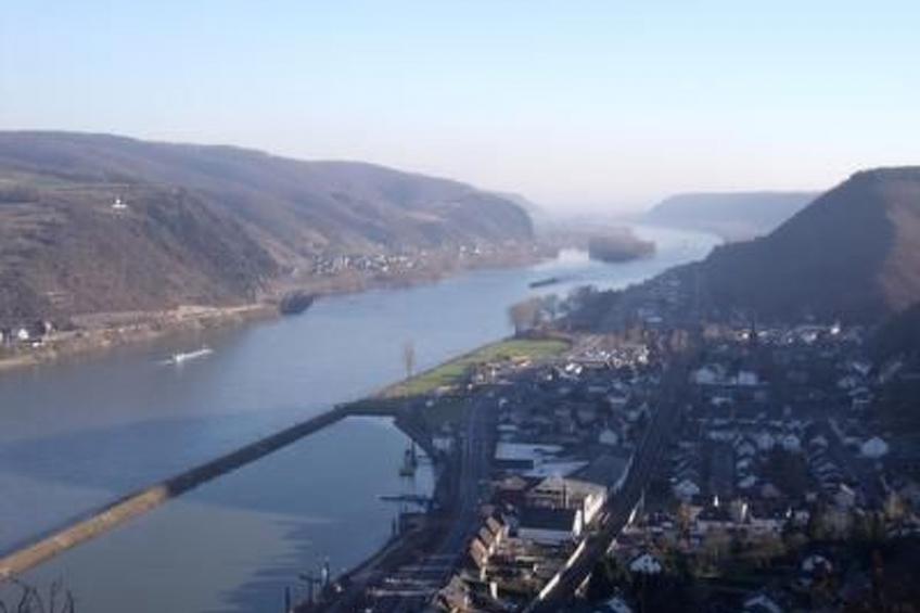 Am Waldrand - foto 25