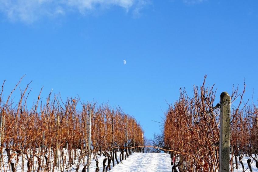 Traumwohnung - foto 59