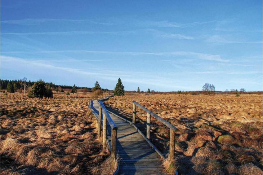 La Petite Buissonnière - foto 27