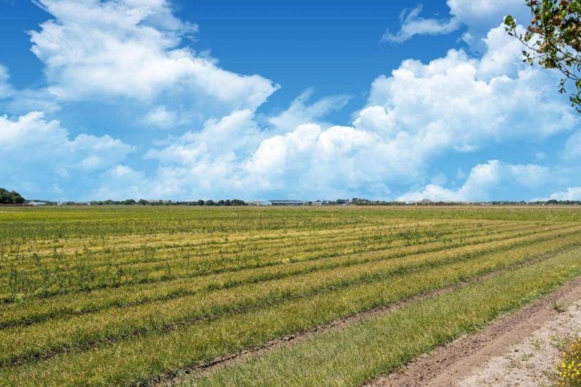 Duinhuis 2 - foto 37