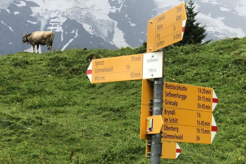 Ferien-Apartment mit Lounge - foto 25