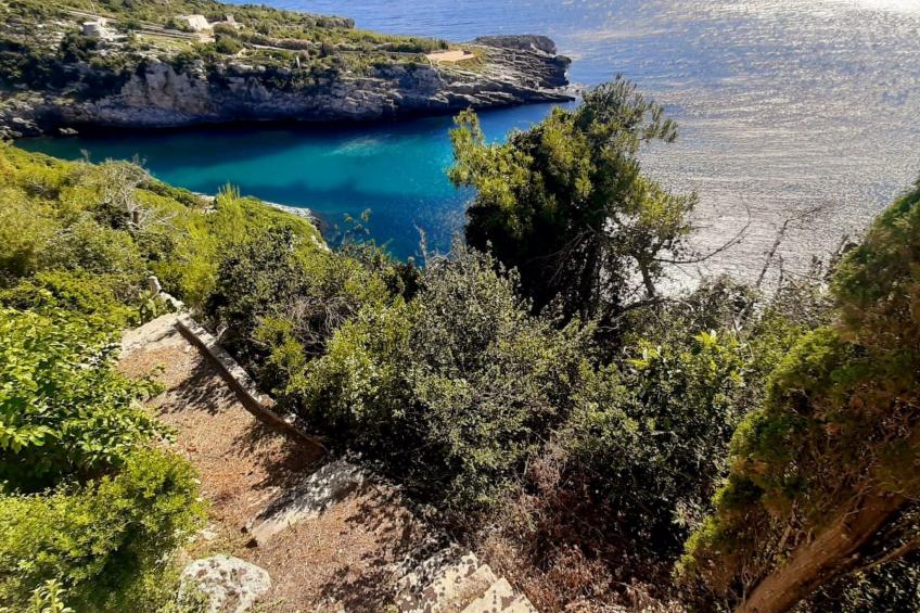 Girasoli in Tricase Porto - foto 53