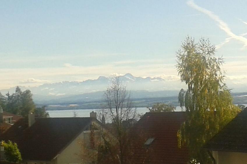 16852 - foto 16