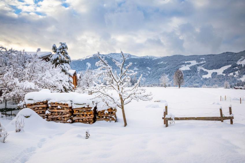 Hanserbauer - foto 37