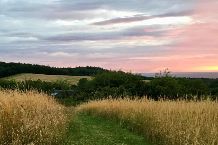 "Els" - 1.8km from the sea in Sealand - foto 3