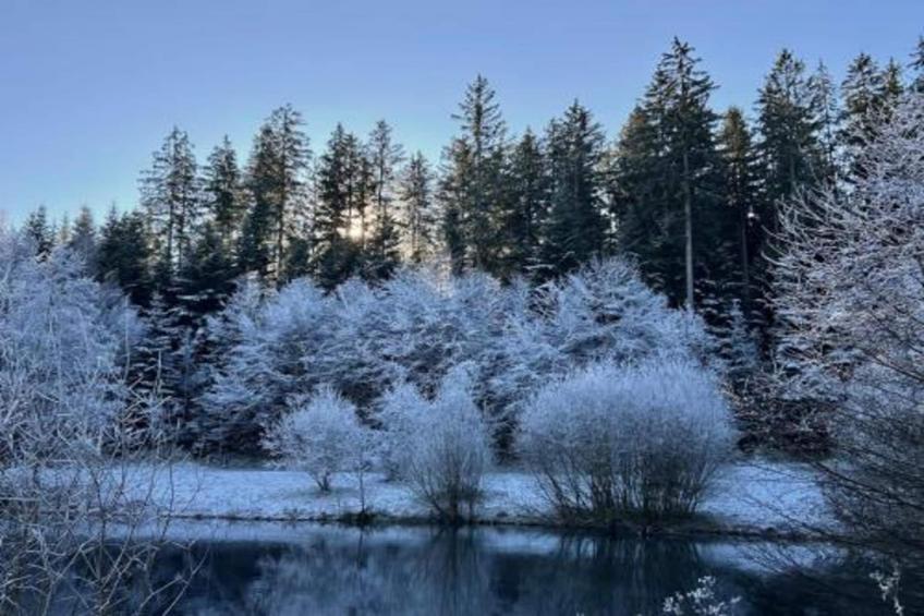 Am Wald - foto 40