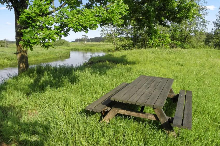 "Beatha" - 25km to the inlet in Western Jutland - foto 6