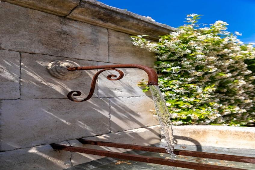 CA-14-ROSSIGNOLS - foto 26