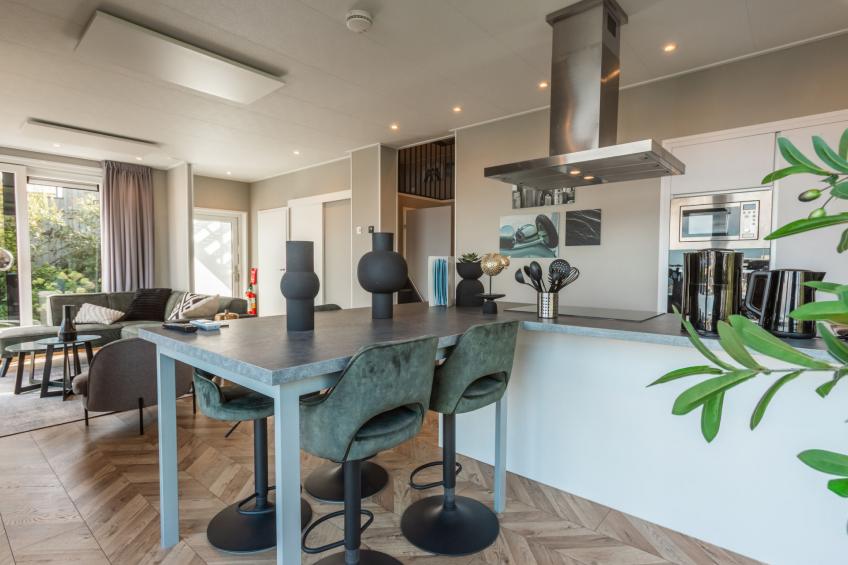 Vakantiepark Wiedense meren - Villa Waterrijk - foto 4
